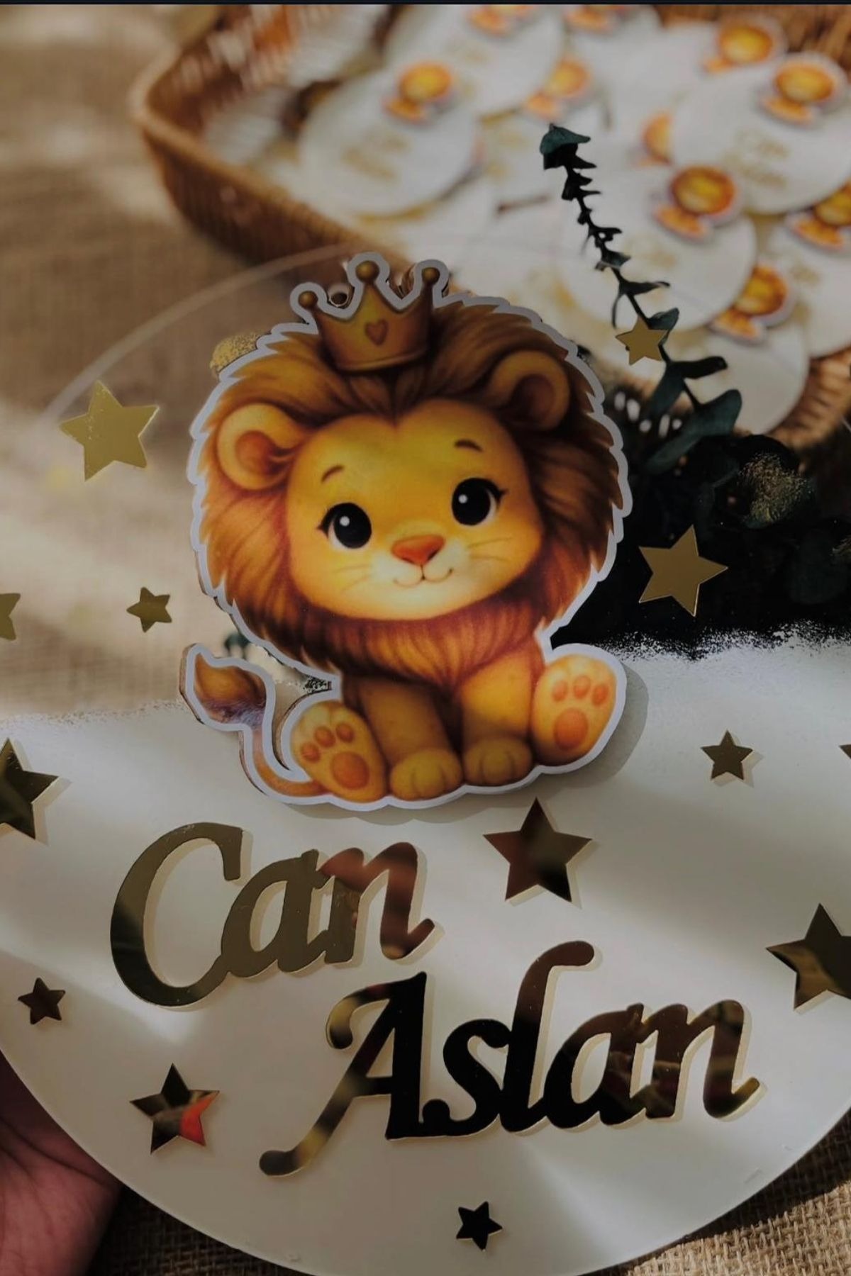 İsimli Pleksi Kapı Süsü ve 20 Adet Magnet Seti Aslan Figürlü Bebek Hediyelik