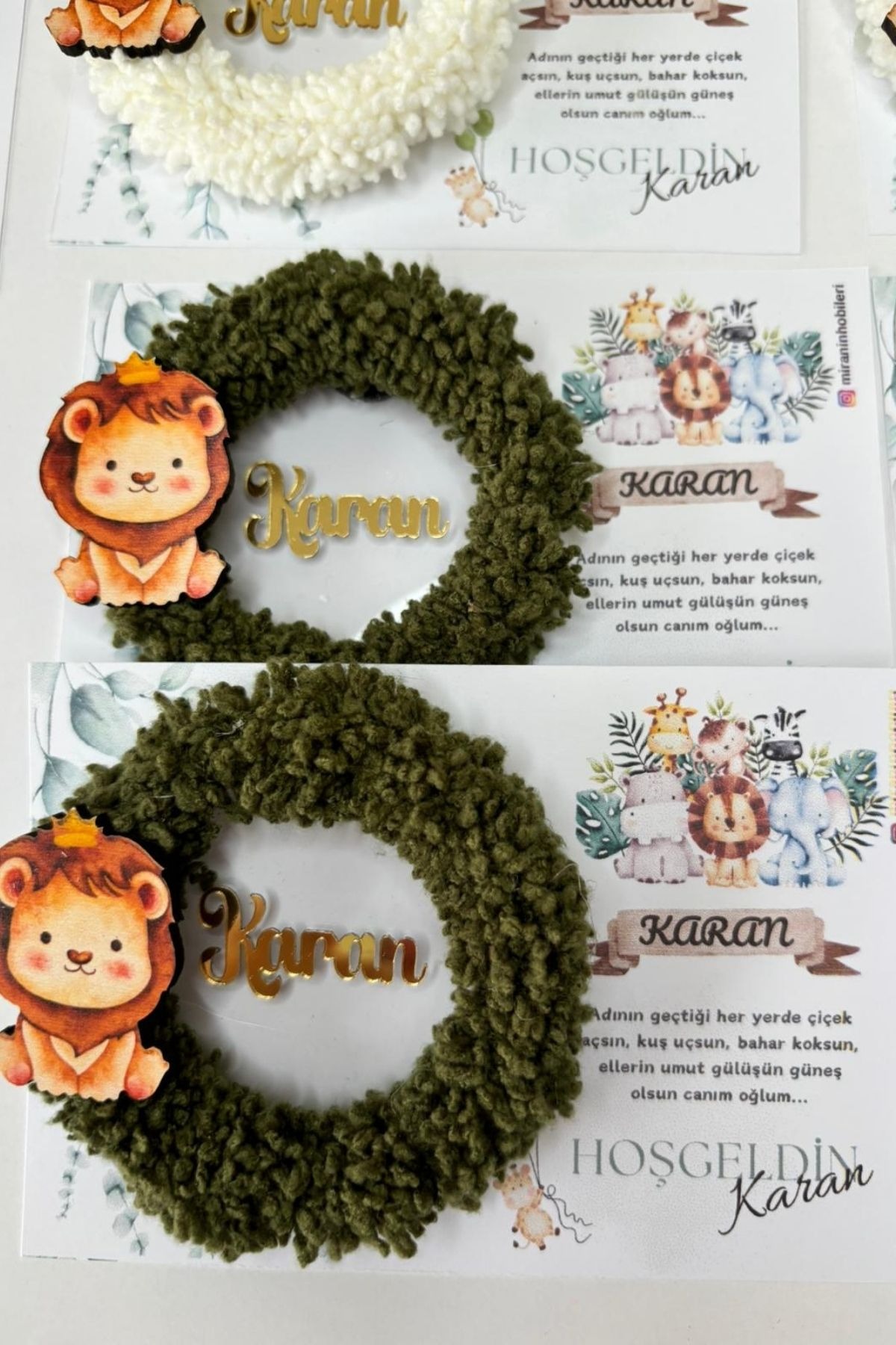 İsimli Pleksi Kapı Süsü ve 20 Adet Magnet Seti Aslan Figürlü Yeşil Beyaz Bebek Hediyelik