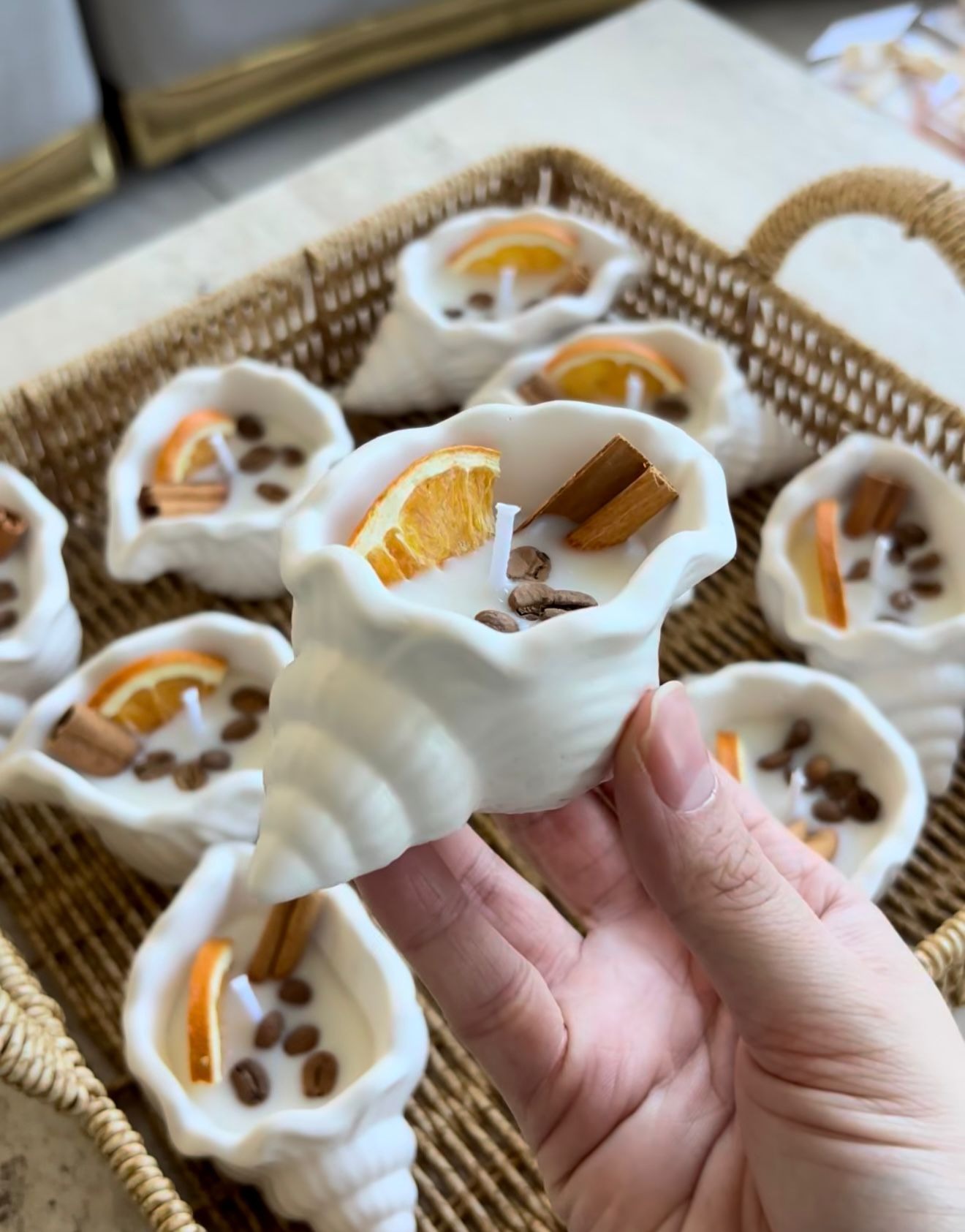  Deniz Kabuğu Mum – Kahve & Tarçın Aromalı Dekoratif Hediyelik Mum Seti 20 Adet