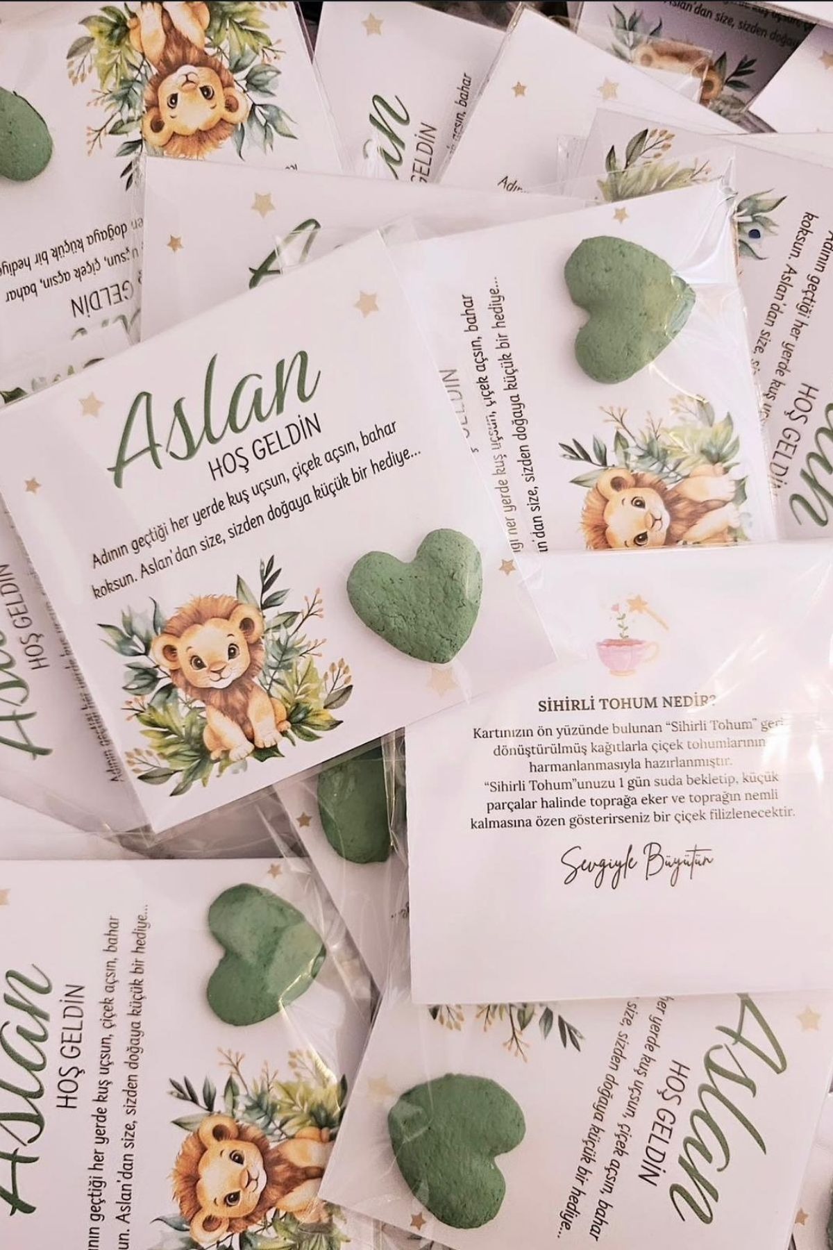 Aslan Temalı Sihirli Tohum Kartı – Kişiye Özel Doğum / 1 Yaş Hediyelik (25 Adet)